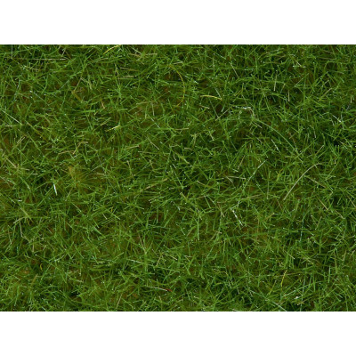 Divoká tráva světlezelená 6mm, 100g