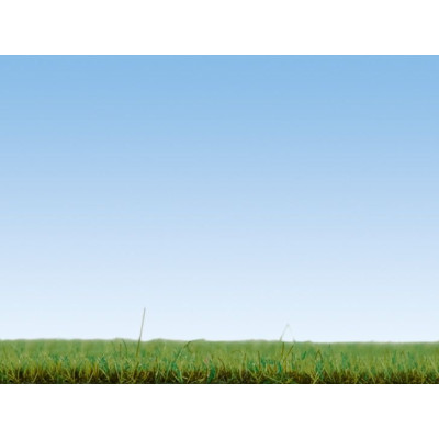 Divoká tráva - letní louka 2,5mm, 120g