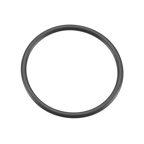 Těsnící kroužek zadního víka (S28) 55HZ